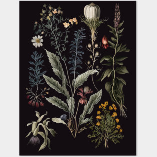 Dark Academia Botanical Poster Posters and Art
