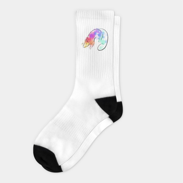 Rainbow Rat Socks by DeguArts