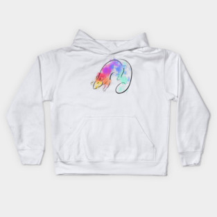Rainbow Rat Kids Hoodie