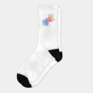 Rainbow Hamster Socks