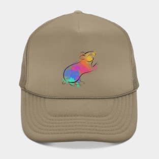 Rainbow Hamster Hat