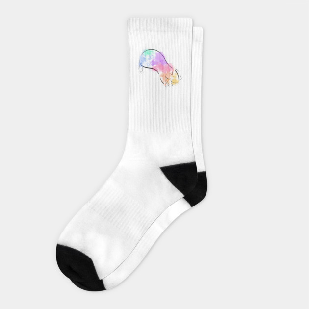 Rainbow Guinea Pig Socks by DeguArts