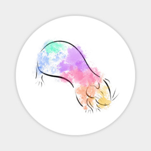 Rainbow Guinea Pig Magnet