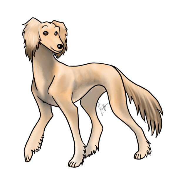 Dog - Saluki - Fawn Feathered by Jen's Dogs Custom Gifts and Designs