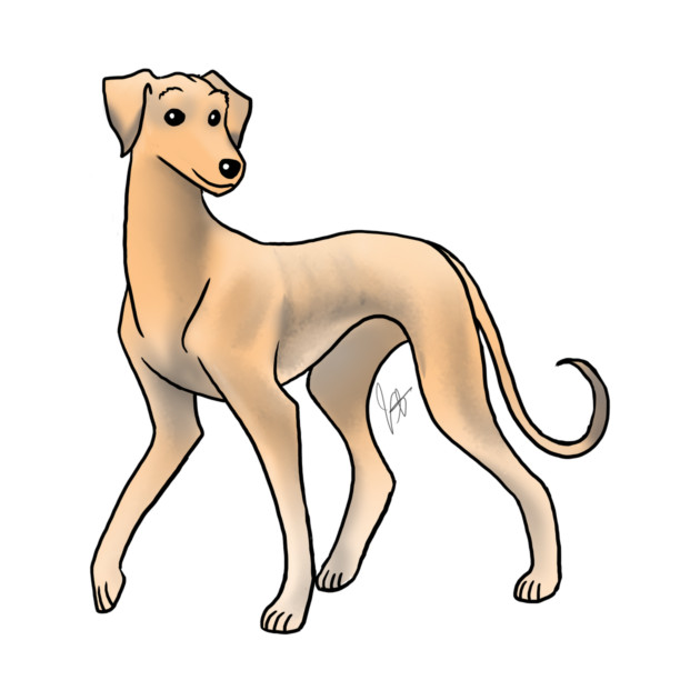 Dog  - Saluki - Smooth Coated Fawn by Jen's Dogs Custom Gifts and Designs