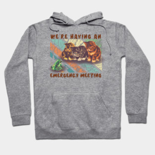 the kittens and frog meeting funny Hoodie