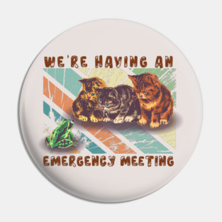 the kittens and frog meeting funny Pin