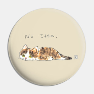No idea Pin