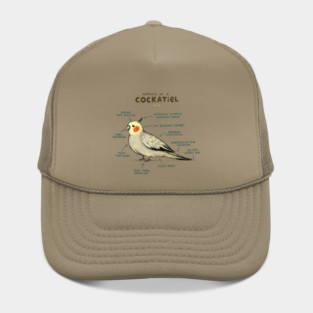 Anatomy of a Cockatiel Hat