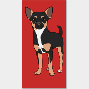 Chihuahua Posters and Art