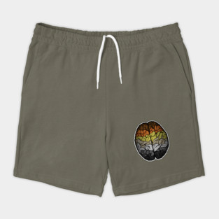 Large Gay Bear Pride Flag Colored Brain Shorts