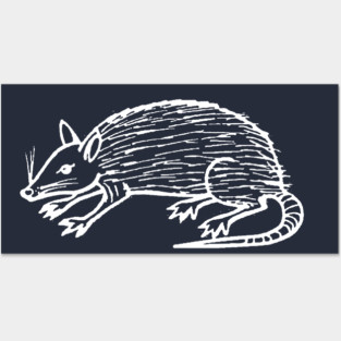 Opossum Posters and Art