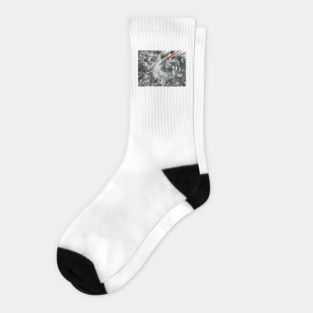 "Lord vs Lord" Socks