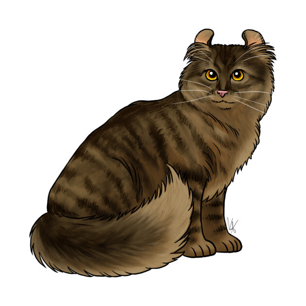 Cat - American Curl - Brown Tabby by Jen's Dogs Custom Gifts and Designs