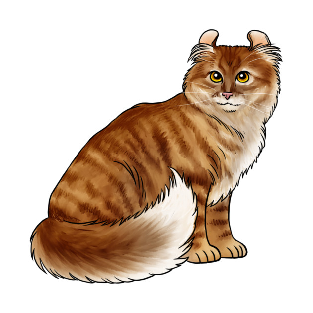 Cat- American Curl - Orange Tabby by Jen's Dogs Custom Gifts and Designs
