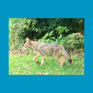 Coyote T-Shirt
