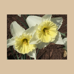 Spring Doubles T-Shirt