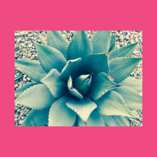 Phoenix AZ Country Club Park  1c T-Shirt