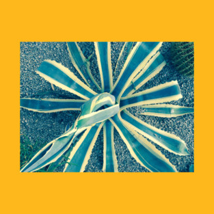 Phoenix AZ Country Club Park  1d T-Shirt