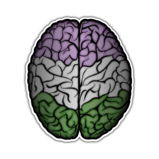 Large Genderqueer Pride Flag Colored Brain T-Shirt