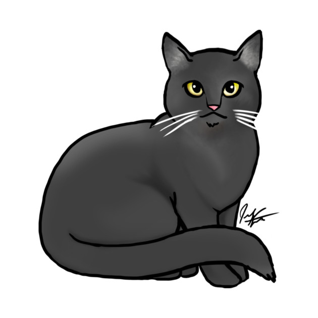 Cat - British Shorthair - Black by Jen's Dogs Custom Gifts and Designs