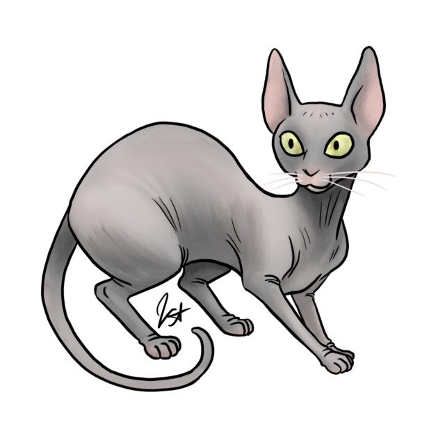 Cat - Sphinx Cat - Gray by Jen's Dogs Custom Gifts and Designs