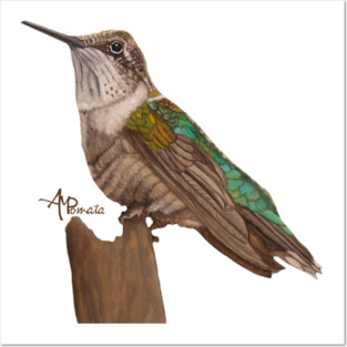 Moon Hummingbird Posters and Art