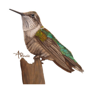 Moon Hummingbird T-Shirt