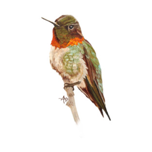 Morning Ruby-throated Hummingbird T-Shirt