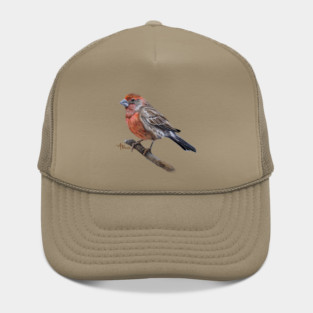 Perched Male House Finch Hat