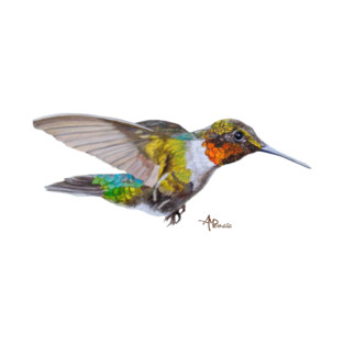 Ruby-throated Hummingbird T-Shirt