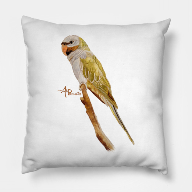 Derbyan Parakeet Pillow by ampomata