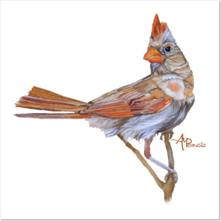 Female Cardinal Posters and Art