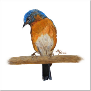 Flower Peeping Eastern Bluebird Posters and Art