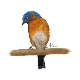 Flower Peeping Eastern Bluebird T-Shirt