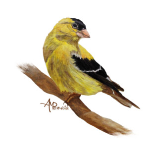 Perched American Goldfinch T-Shirt