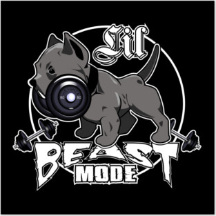 Lil Beast Mode Posters and Art