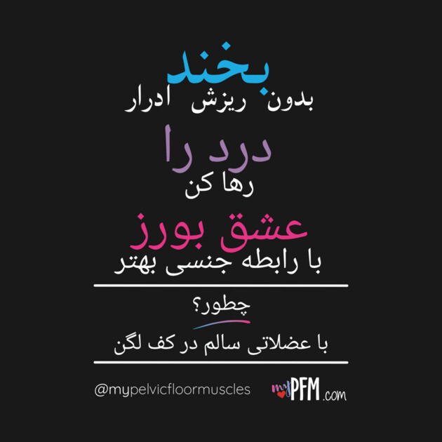 Cat Pelvic Floor Muscles by myPFM