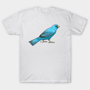 Bird - Canary - Blue T-Shirt