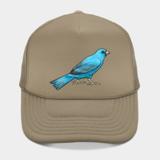 Bird - Canary - Blue Hat