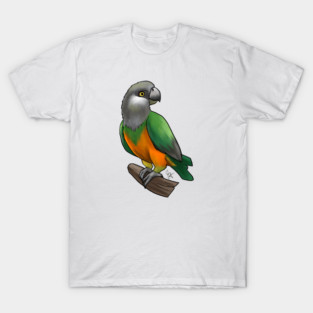 Bird - Senegal Parrot - Orange Bellied T-Shirt