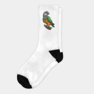 Bird - Senegal Parrot - Orange Bellied Socks