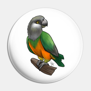 Bird - Senegal Parrot - Orange Bellied Pin