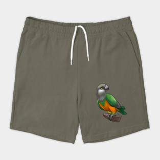 Bird - Senegal Parrot - Orange Bellied Shorts
