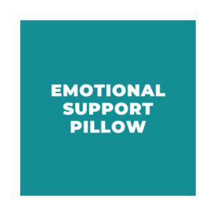 Emotional Support Pillow (From Podcast)-Seafoam Greenish T-Shirt