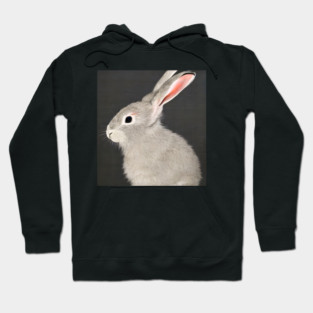 Cute grey rabbit bunny Hare Hoodie