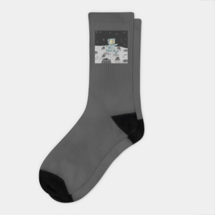 ASTROBEAR OR BEARNAUT? Socks