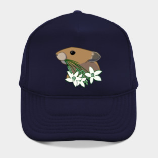 Pika Hat