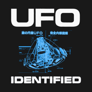 UFO-IDENTIFIED T-Shirt