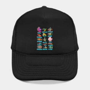 Tropical Freshwater Fish Chart Hat
